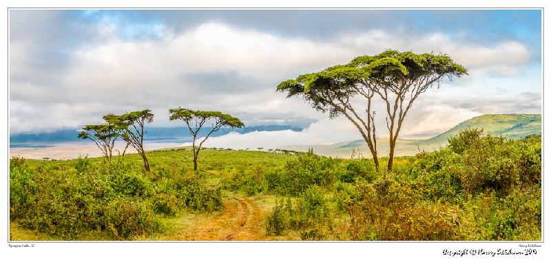 Panorama from the rim of the Ngorogoro crater_HBA9807_Gallery Print.jpg